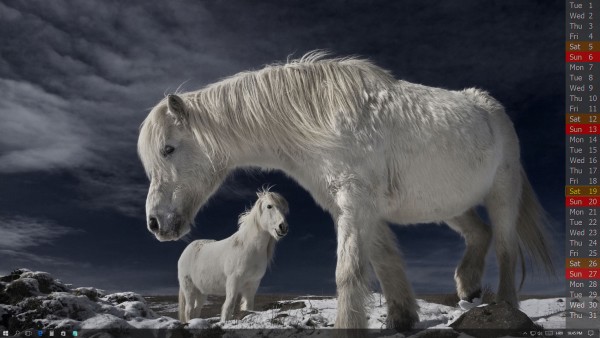 Icelandic Horses by Bragi Ingibergsson